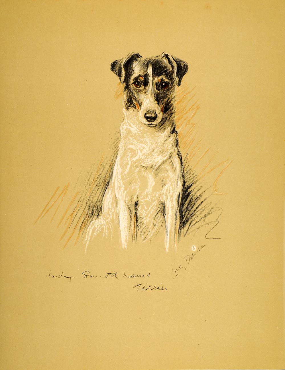 1937 Lucy Dawson Art Smooth Haired Fox Terrier Hunting Dog Canine Breed Print