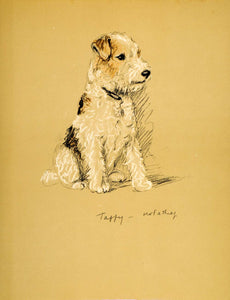 1937 Lucy Dawson Art Wirehaired Wire Fox Terrier Dog Breed Canine Artist Print