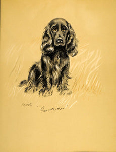1937 Lucy Dawson Art Spaniel Dog Gun Hunting Sporting Breed Canine Artist Print