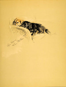 1937 Lucy Dawson Art Pekingese Dog Peke Foo Chinese Toy Breed Canine Print