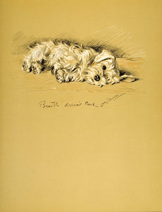 1937 Lucy Dawson Art Sealyham Terrier Dog Breed Welsh Border Cowley Canine Print