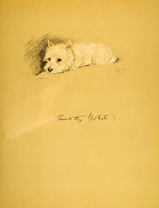 1937 Lucy Dawson Art West Highland White Terrier Dog Westie Scottish Breed Print