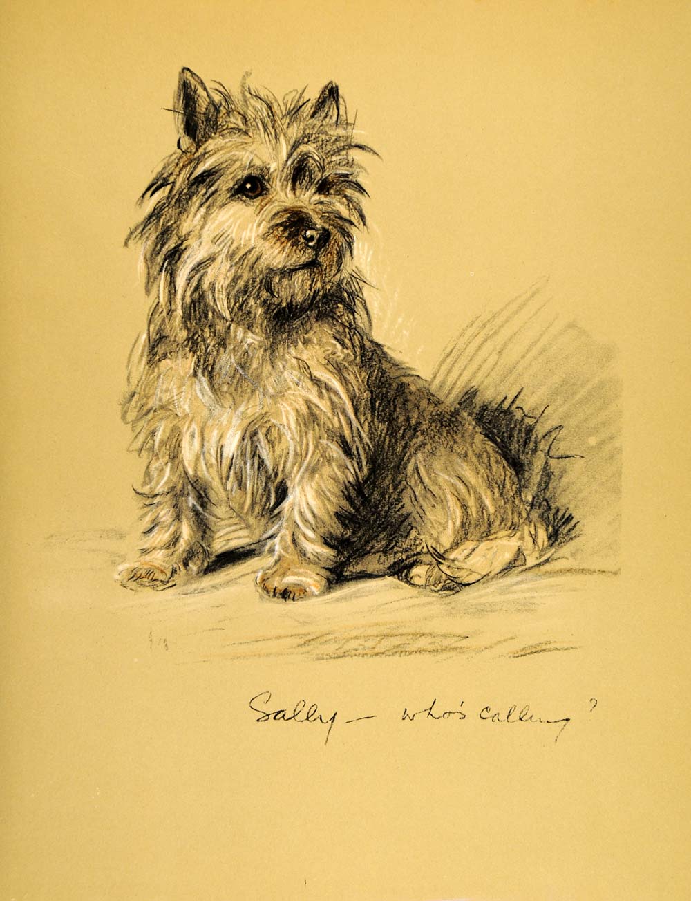 1937 Lucy Dawson Art Cairn Terrier Dog Scottish Working Breed Canine Print