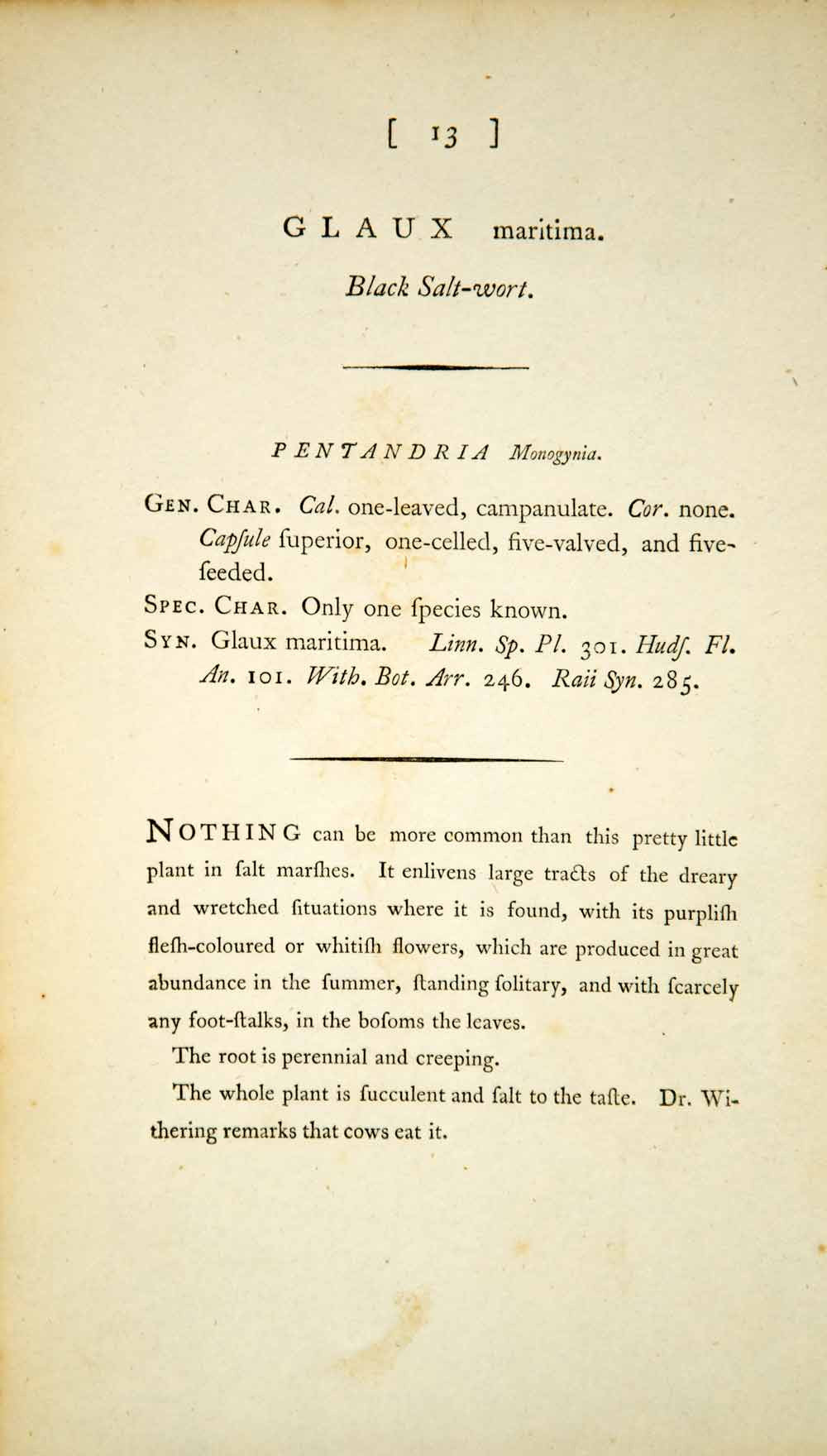 1790 Copper Engraving James Sowerby Glaux Sea Milkwort Black Saltwort EB1 - Period Paper
 - 2