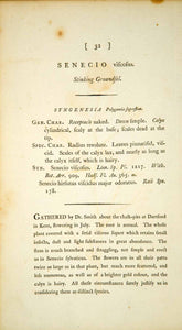 1790 Copper Engraving James Sowerby Senecio Sticky Groundsel Botanical EB1