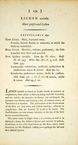 1794 Copper Engraving James Sowerby Cladonia Lichen Fungi Botanical Print EB3 - Period Paper
 - 2