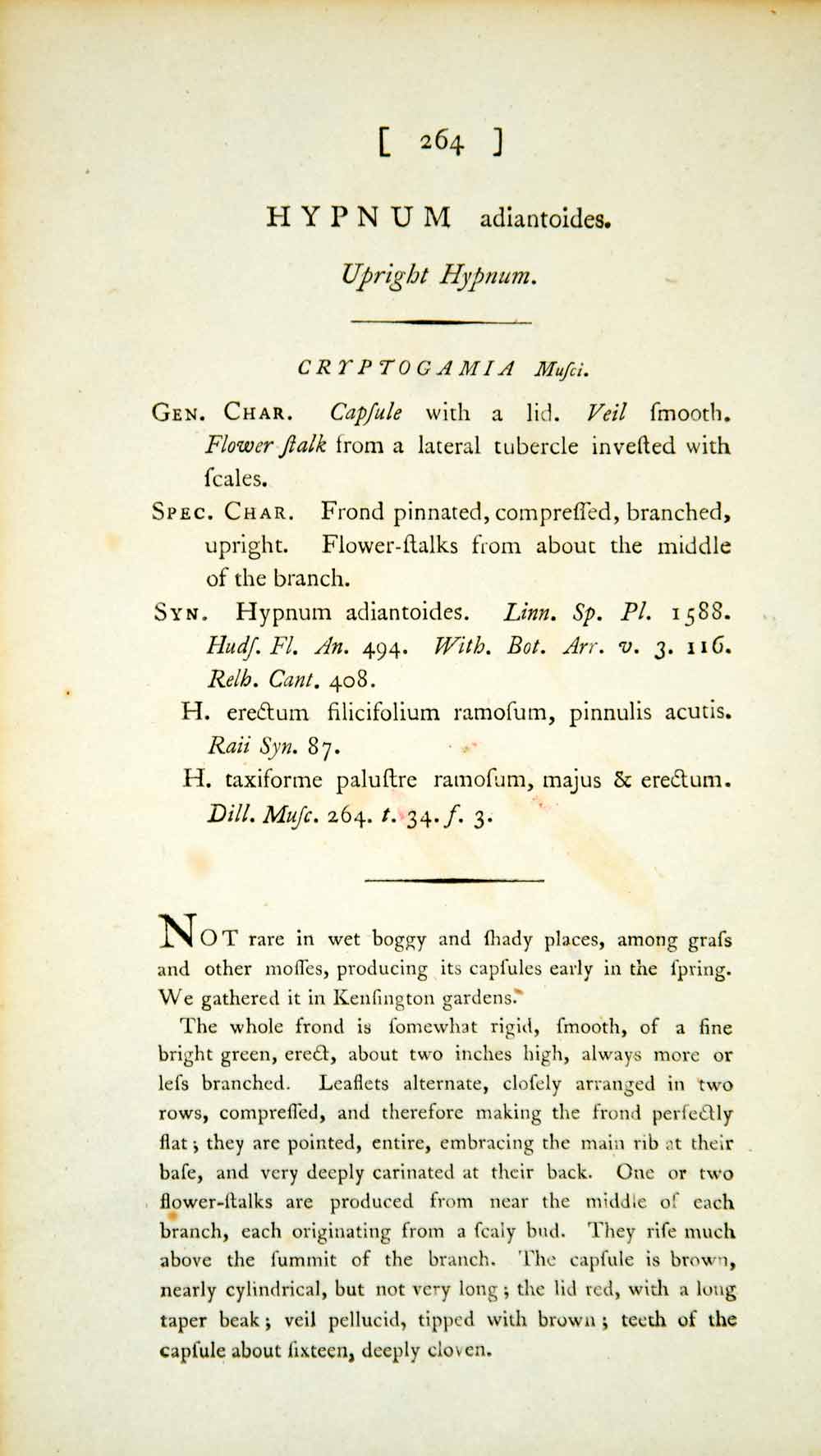 1795 Copper Engraving James Sowerby Upright Hypnum Botanical Print Plant EB4