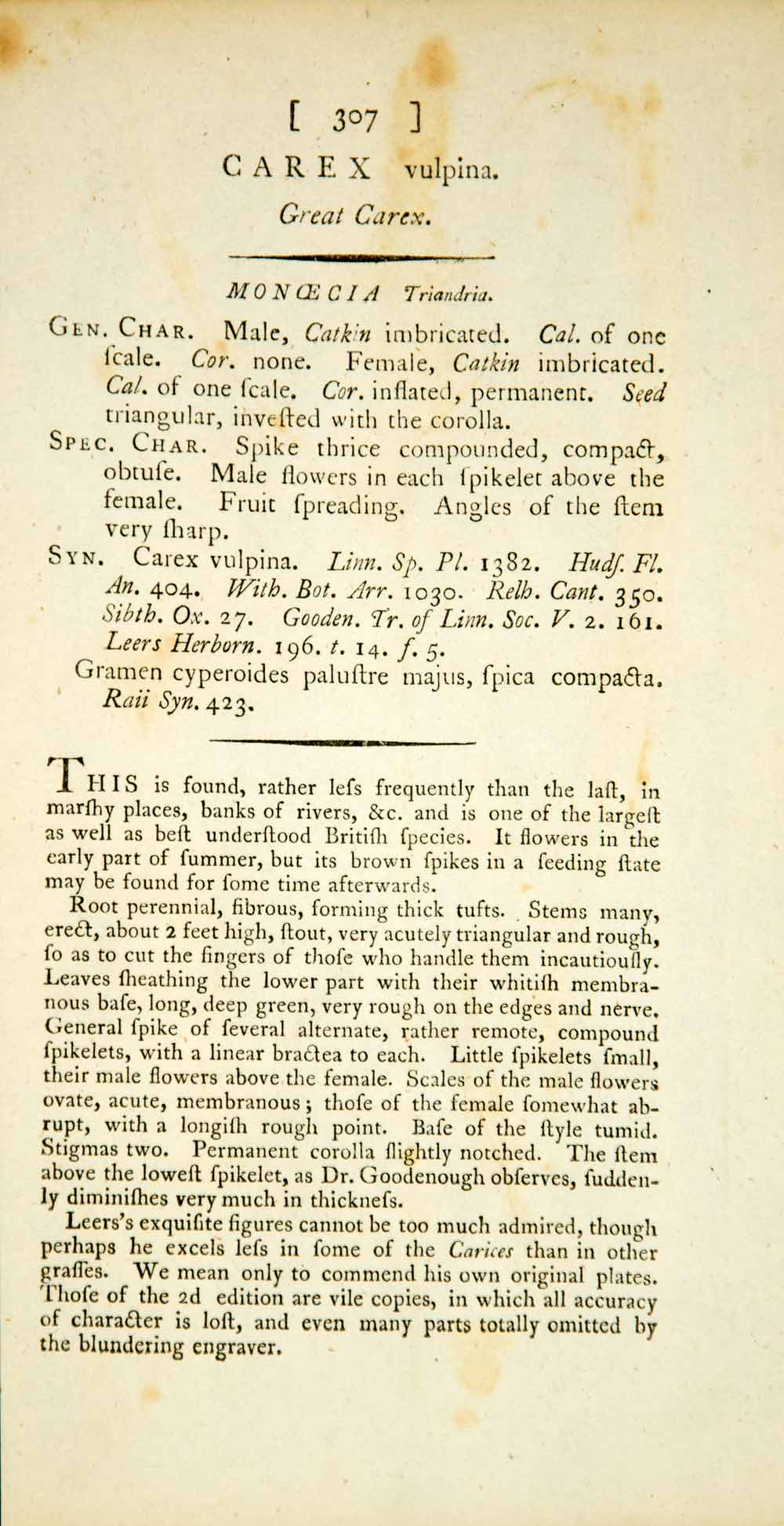 1796 Copper Engraving James Sowerby Carex Fox Sedge Botanical Flower Print Plant