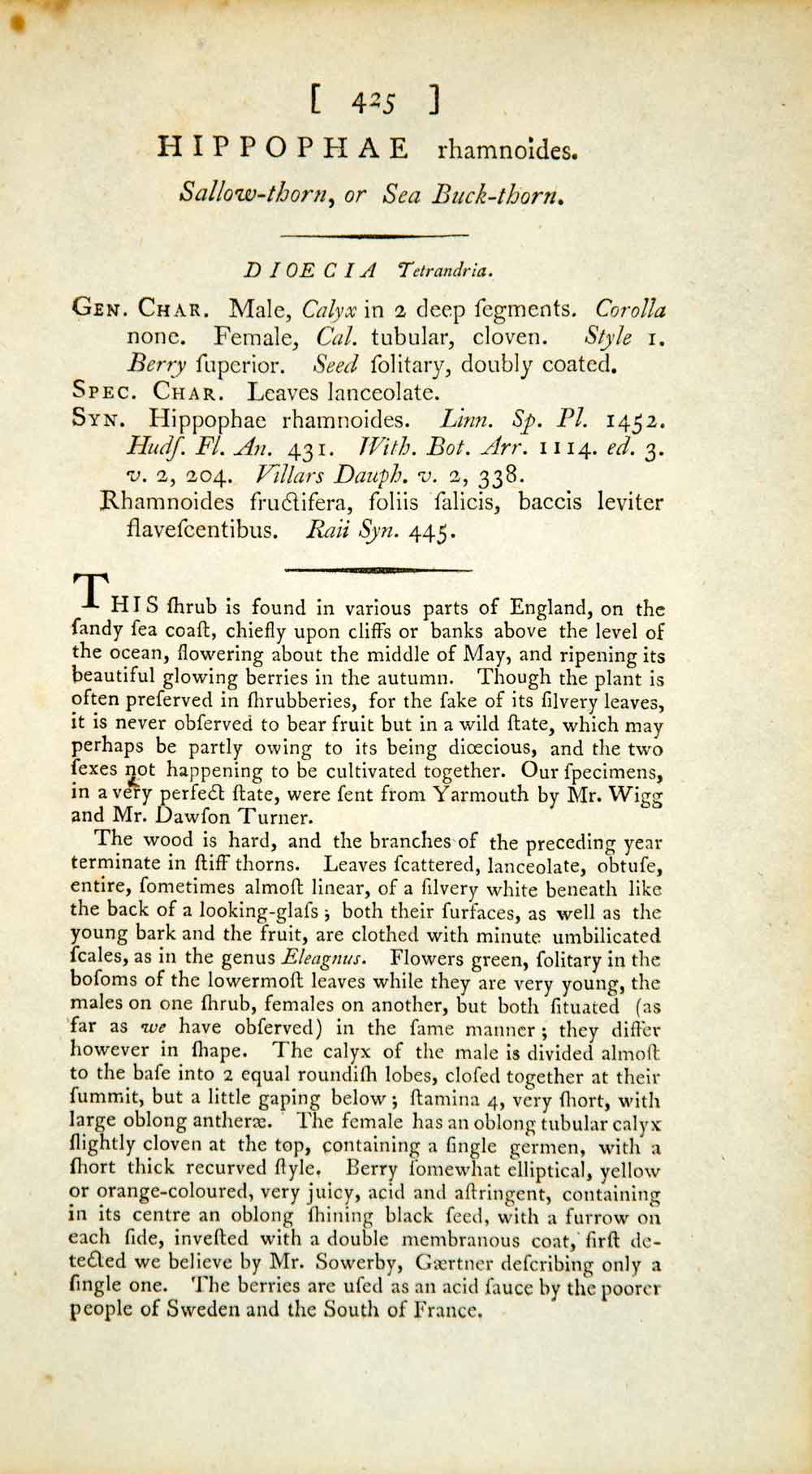 1797 Copper Engraving Hand-Painted Hippophae Common Sea-Buckthorn Botanical EB6