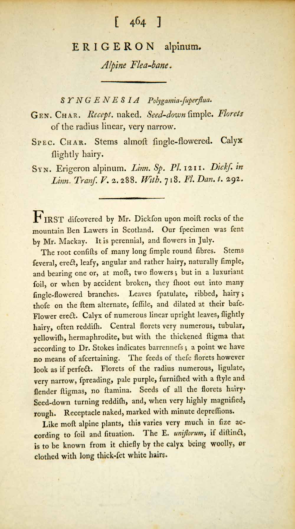 1798 Copper Engraving Hand-Painted Erigeron Alpine Fleabane Botanical Flower EB7