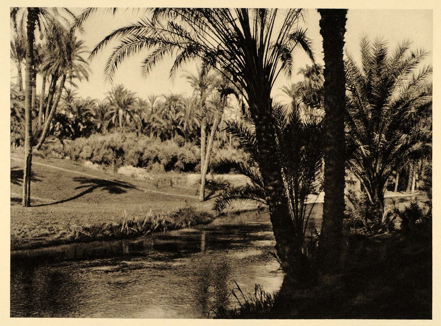 1929 Faiyum Egypt Village Canal Nile River Landscape - ORIGINAL PHOTOGRAVURE EG1