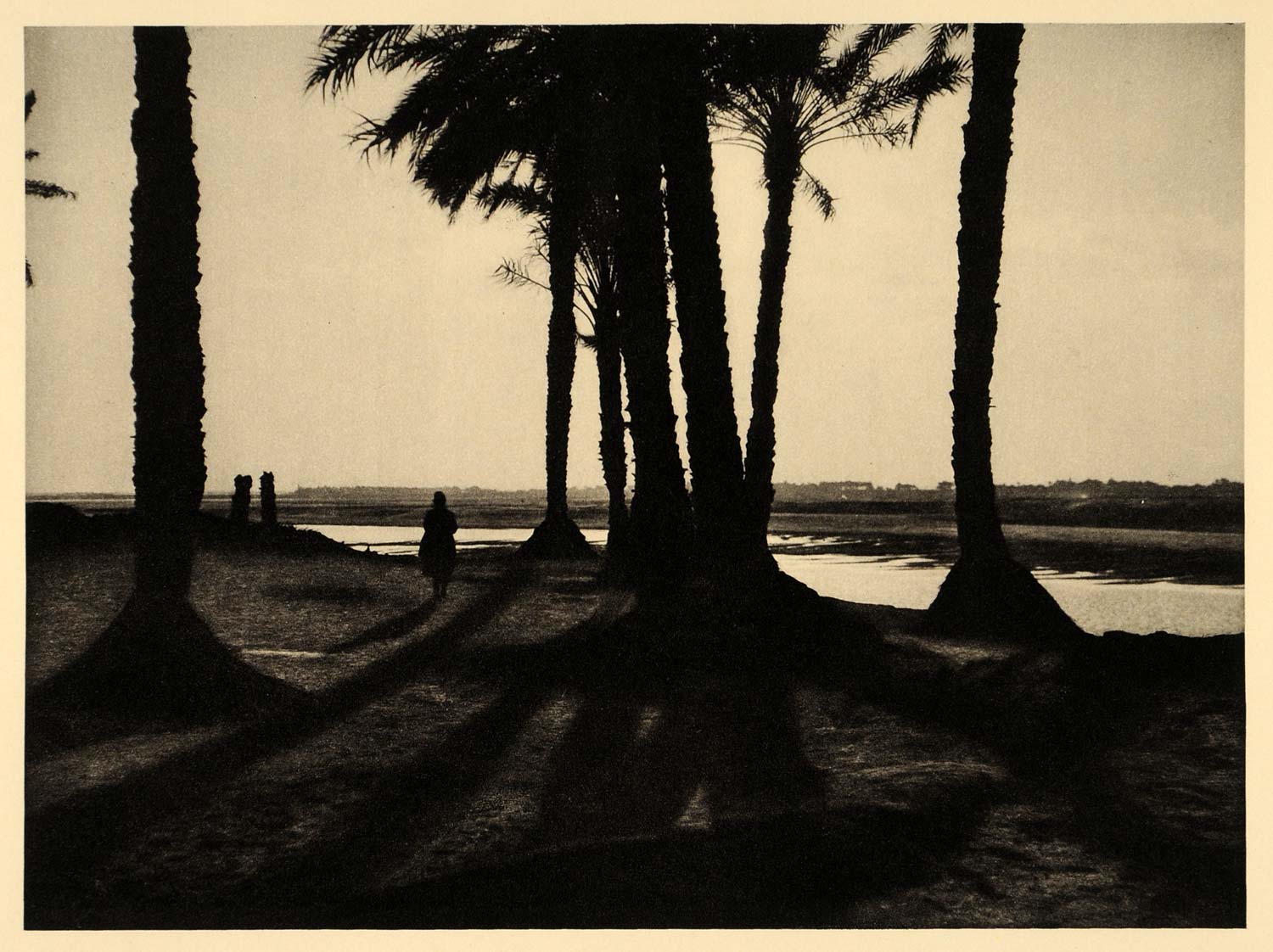 1929 Egypt Nile River Sunset Shade Palm Trees Et-Till - ORIGINAL EG1