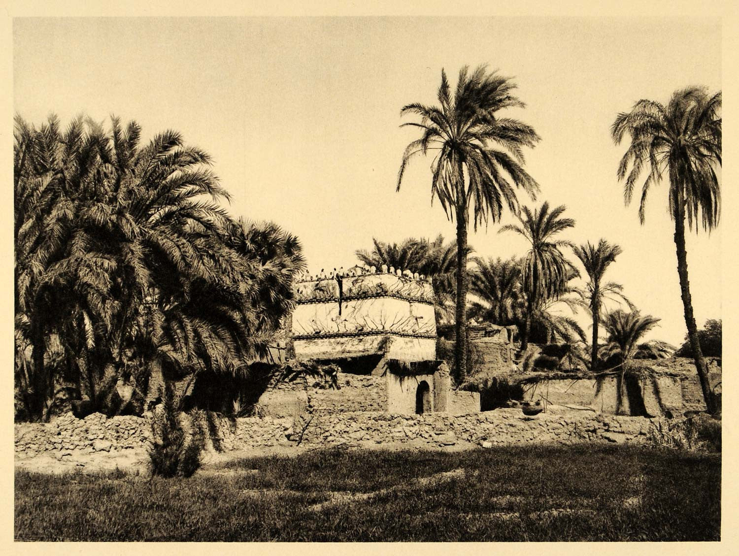 1929 Egypt Thebes Pigeon House Luxor Palm Photogravure - ORIGINAL EG1
