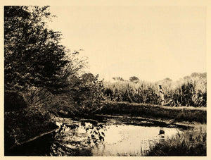1929 Egypt Photogravure Kom Ombo Plantantion Sugar Cane - ORIGINAL EG1