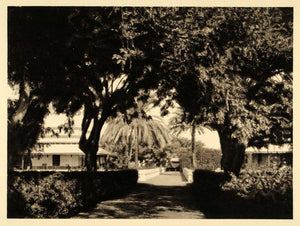 1929 Egypt Photogravure Aswan Landscape Garden Ricke - ORIGINAL PHOTOGRAVURE EG1