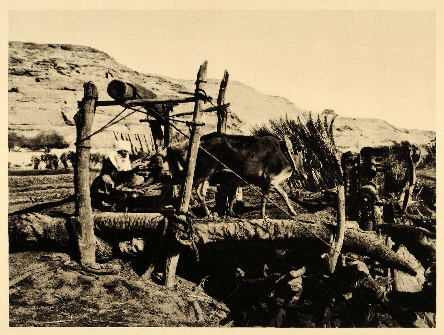 1929 Egypt Photogravure Nubia Water Wheel Cow Ricke - ORIGINAL PHOTOGRAVURE EG1