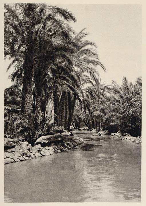 1929 Fayum Egypt Canal Tersa Tirsa Palms Kanal Canale - ORIGINAL EGYPT