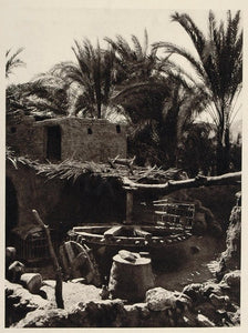 1929 Egyptian Peasant House Scoop Water Wheel Egypt - ORIGINAL EGYPT
