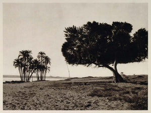 1929 Dakka Dakke Dakkeh Nile River Nilufer Nilo Egypt - ORIGINAL EGYPT