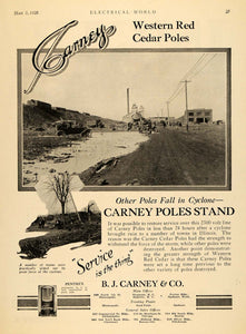 1928 Ad B. J. Carney & Co. Western Red Cedar Poles - ORIGINAL ADVERTISING ELC1