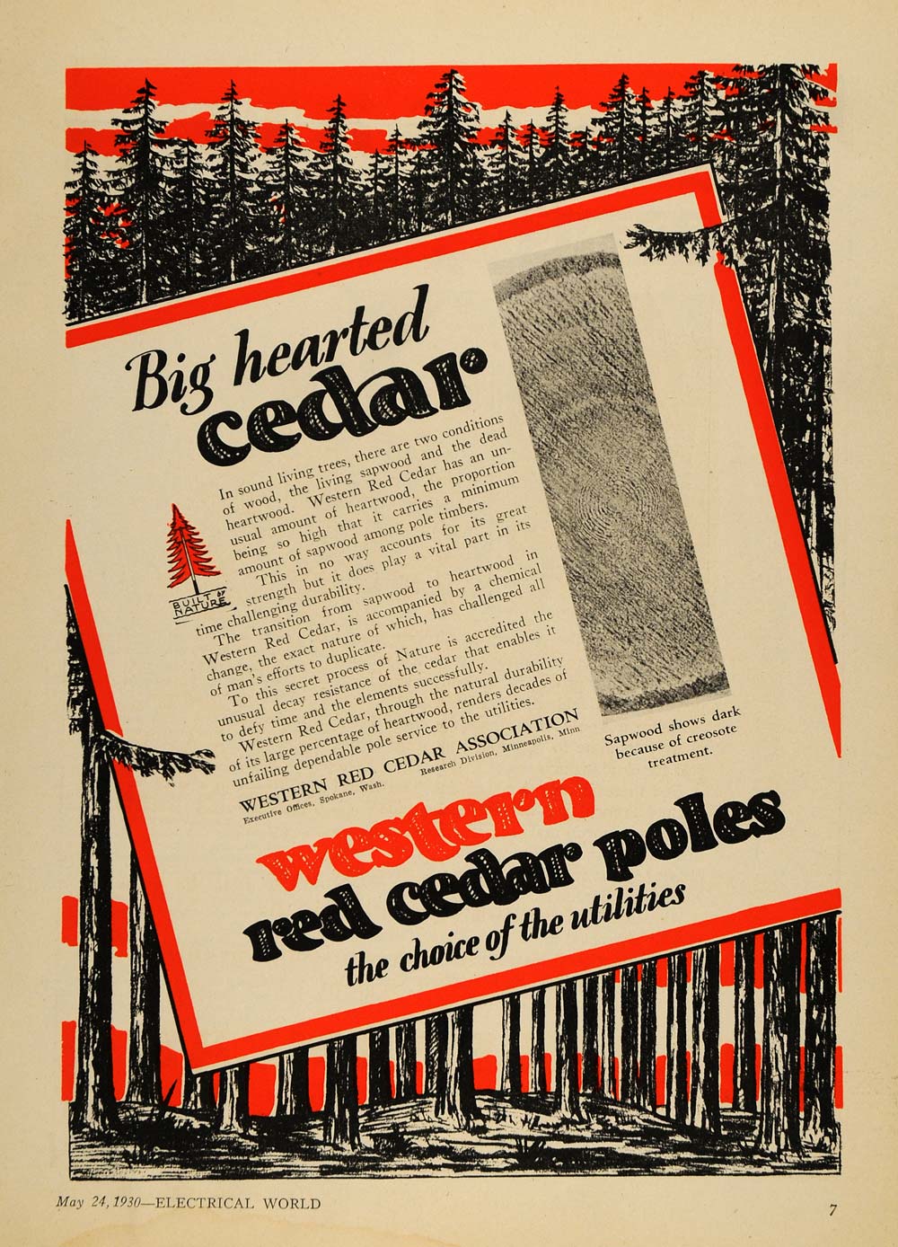 1930 Ad Western Red Cedar Association Poles Pine Trees - ORIGINAL ELC1