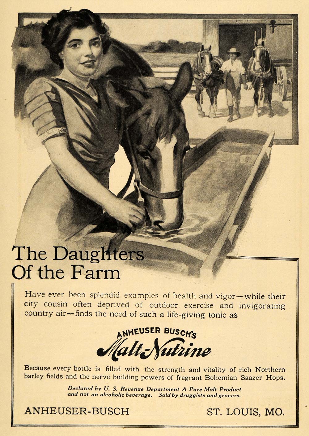 1911 Ad Horse Farm Anheuser Busch Malt Nutrine Beverage - ORIGINAL EM1