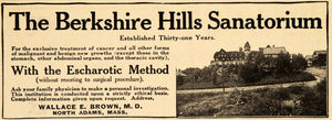 1909 Ad Berkshire Hills Sanatorium Wallace E Brown - ORIGINAL ADVERTISING EM2