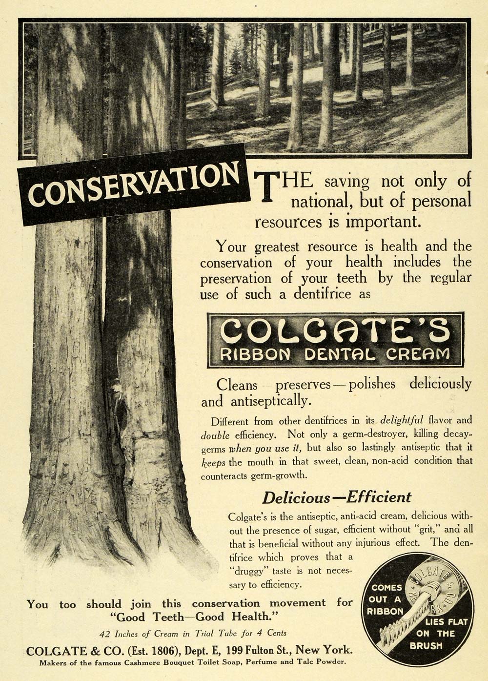 1911 Ad Colgates Ribbon Dental Cream Tooth Paste Brush Conservation EM2