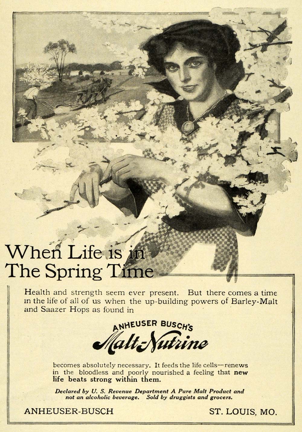 1911 Ad Life Spring Time Anheuser Busch Malt Nutrine Blooming Tree Saazer EM2