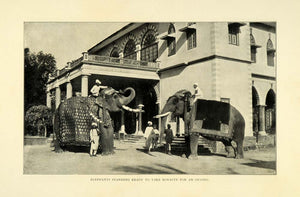 1905 Print India Royalty Decorative Elephant Transportation Tusks Cultural EM2