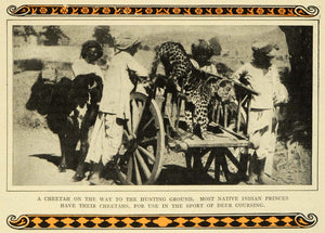 1911 Print Cheetah Hunting Ground India Deer Coursing Wild Animals Cattle EM2
