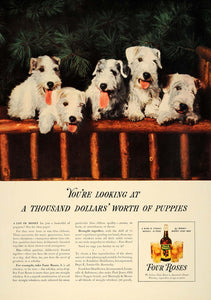 1938 Ad Airedale Puppies Four Roses Whiskey Frankfort - ORIGINAL ESQ1