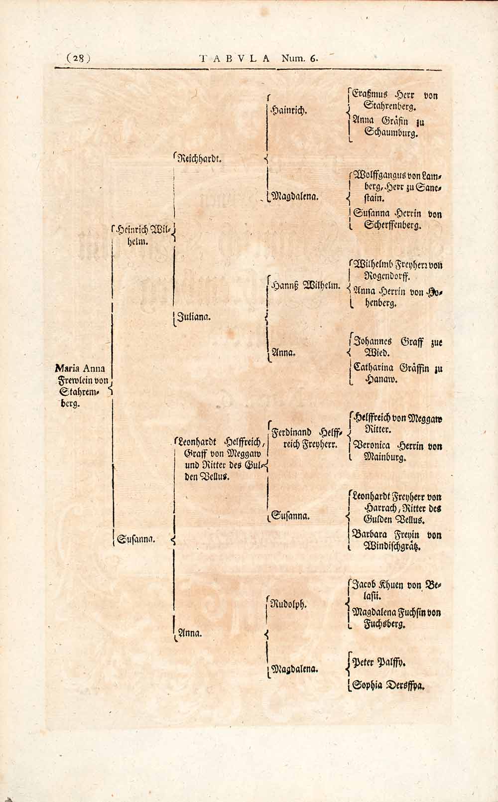 1722 Woodblock Print Genealogy Ancestry Von Stahremberg Maria Fremlein EUM4