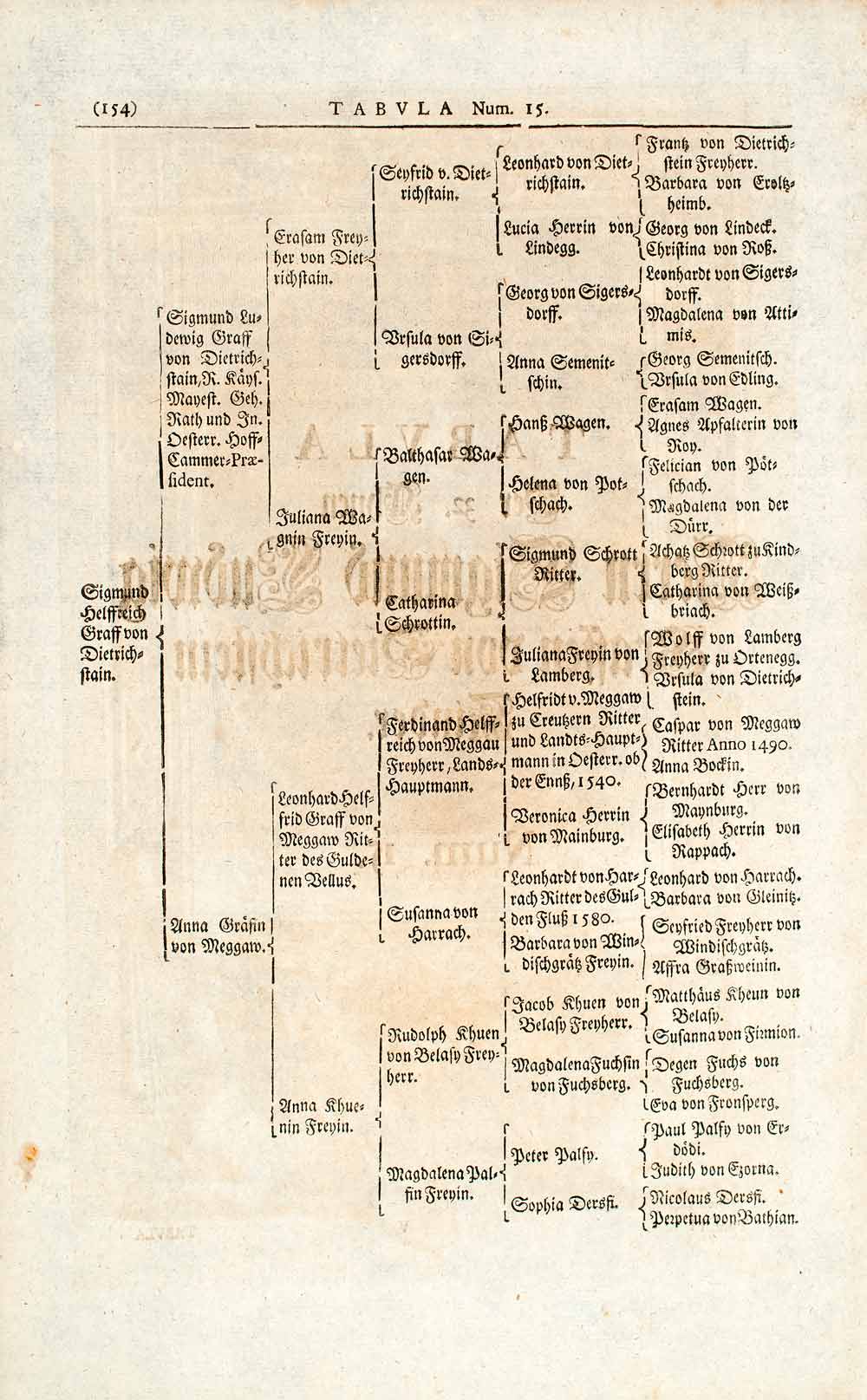 1722 Woodblock Print Genealogy Ancestry Von Dietrichstein Wagnin Freyin EUM4