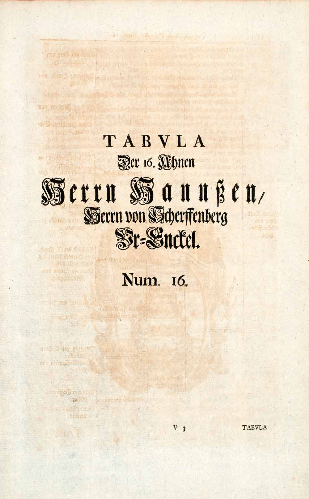 1722 Woodblock Print Genealogy Ancestry Von Scherssenberg Zollern Baden EUM4
