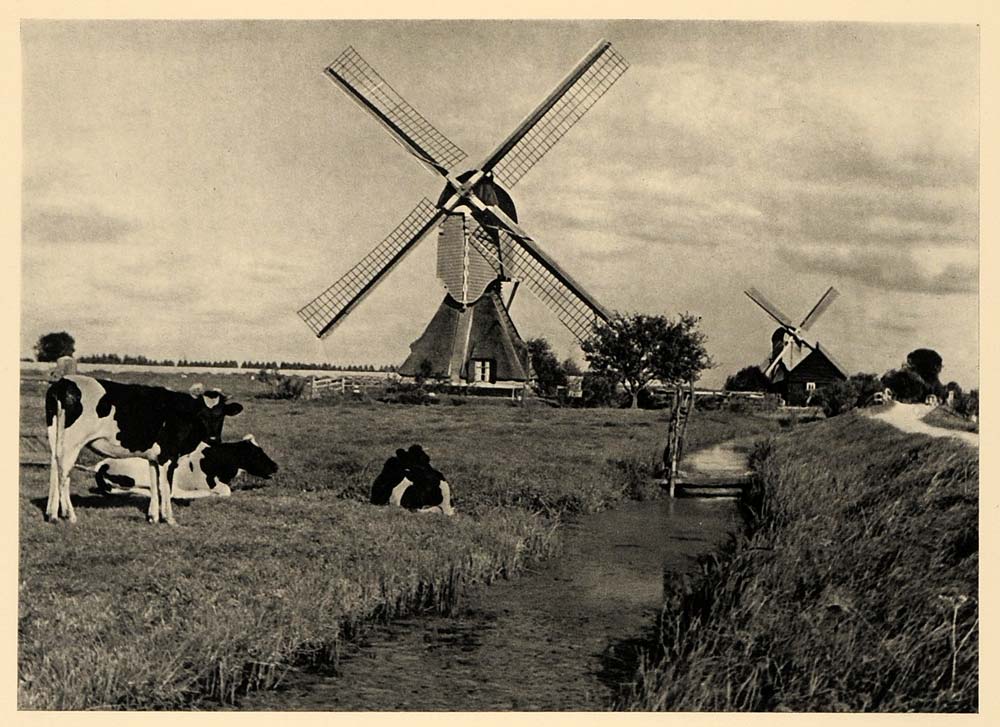 1943 Windmolen Gelderland Netherlands Windmill Arnhem - ORIGINAL EUR1