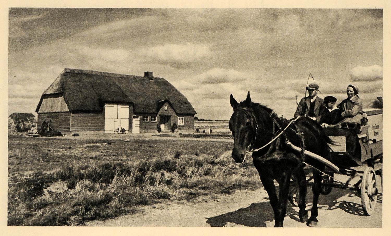 1943 Finkahus Hallig Halligen Island Horse Fashion Cart - ORIGINAL EUR2