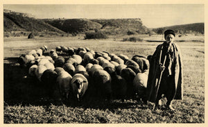 1943 Sheep Vit Valley Shepherd Vid River Bulgaria Utus - ORIGINAL EUR2
