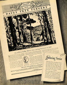 1940 Ad Davey Tree Expert Service Frank Swift Chase - ORIGINAL ADVERTISING F4A