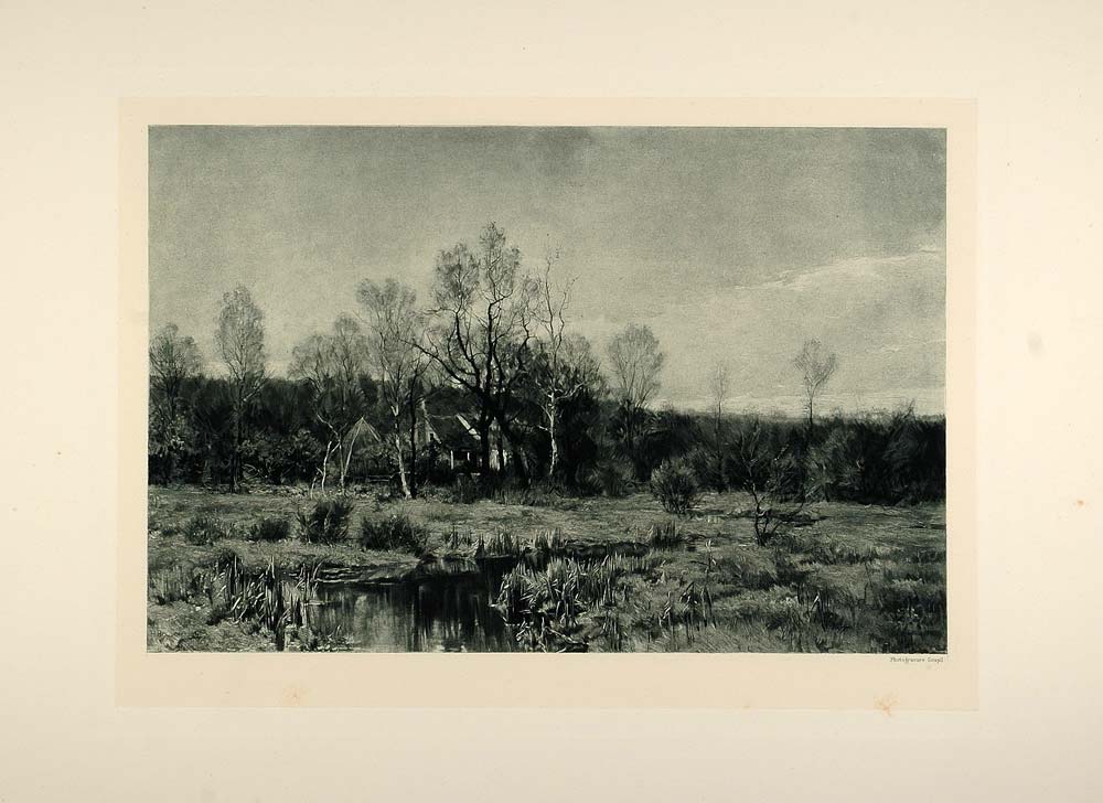 1893 Photogravure Spring Woods New Jersey Landscape - ORIGINAL PHOTOGRAVURE FAI1