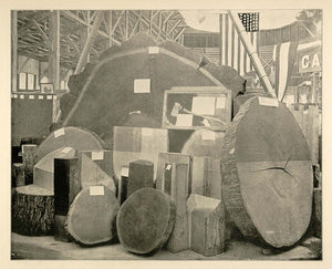 1893 Chicago Worlds Fair William Gladstone Ax Forestry ORIGINAL HISTORIC FAI4
