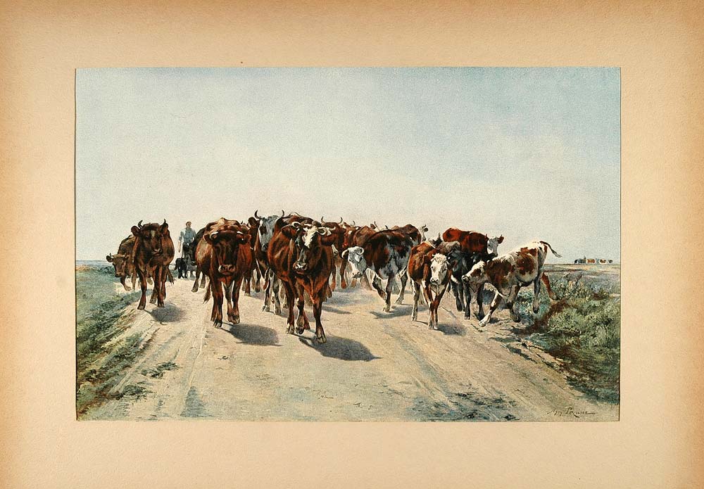 1896 Print Cattle Oxen Vaudancourt France Aymar Pezant - ORIGINAL FAI5