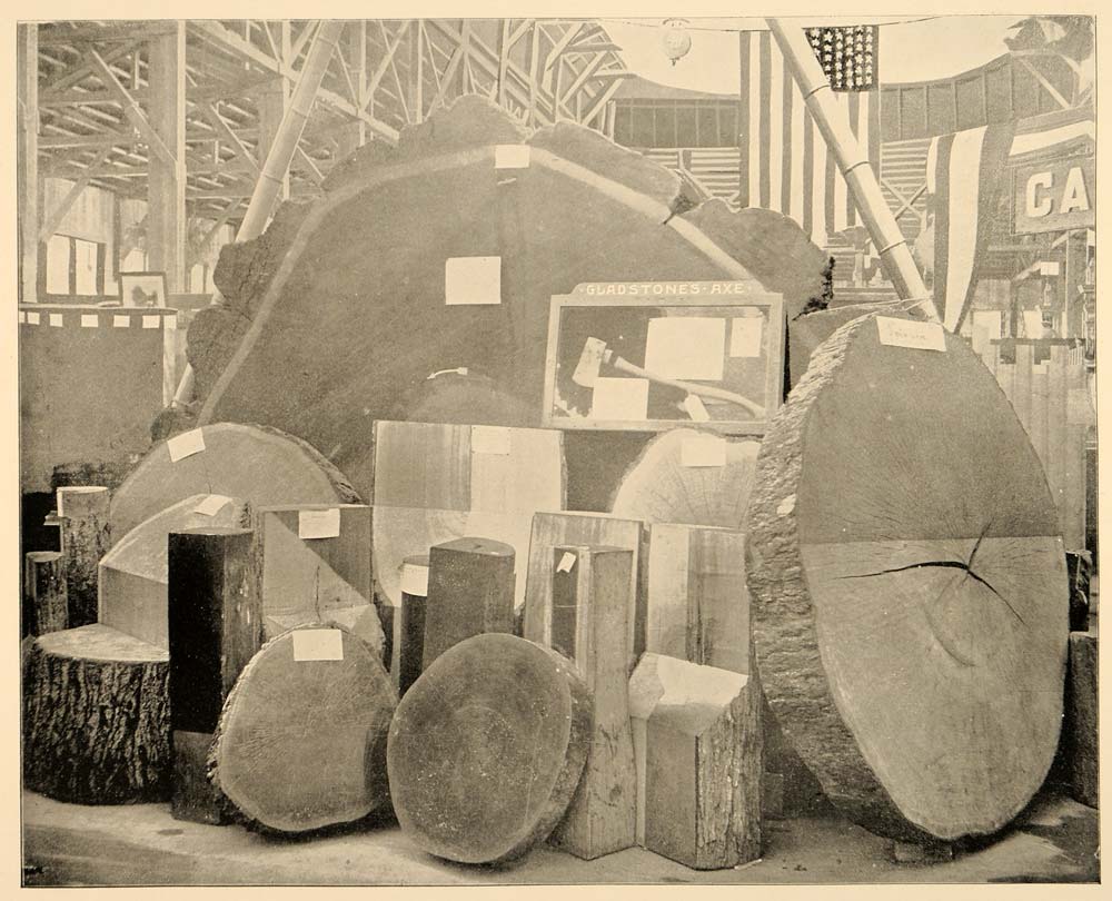 1893 Chicago World's Fair Forestry Gladstone's Ax Print ORIGINAL HISTORIC IMAGE