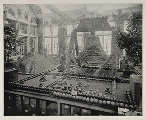 1893 Chicago Worlds Fair California Liberty Bell Orange ORIGINAL HISTORIC FAIR3
