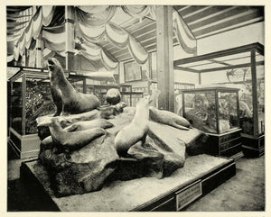 1893 Print Chicago World's Fair Behring Sea Seals - ORIGINAL HISTORIC IMAGE FAR1
