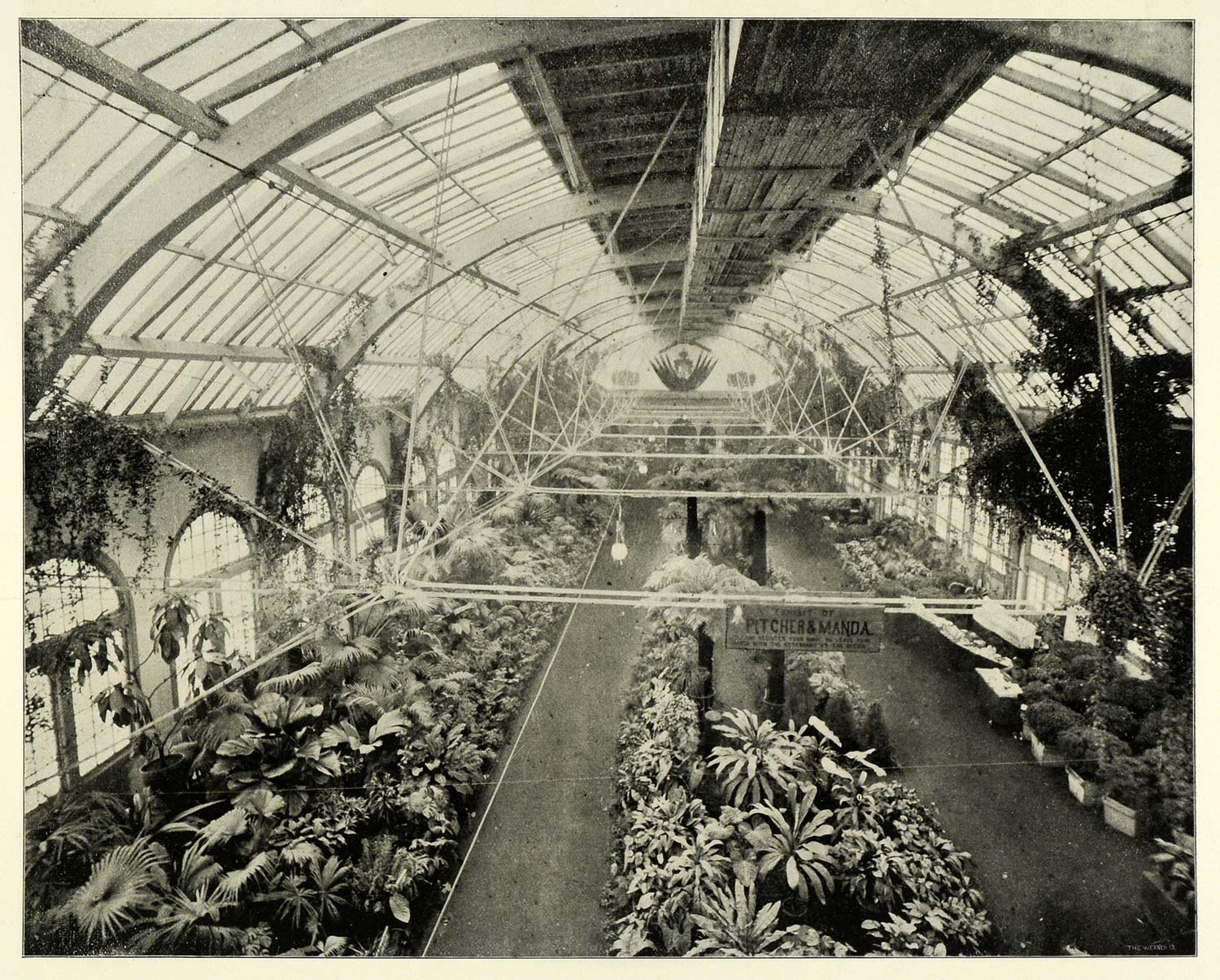 1893 Print Conservatory Chicago World's Fair Horticulture Building Plants FAR1