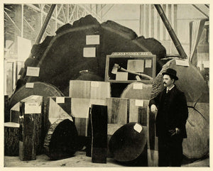 1893 Chicago World's Fair Gladstone Ax Exhibit Forestry Building HISTORIC FAR1