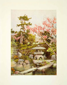 1908 Color Print Garden Japanese Flower Botanical Ella Du Cane Pond FGJ1