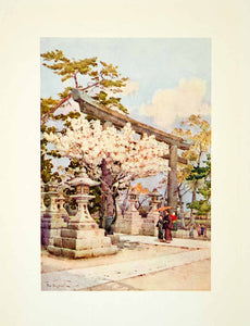 1908 Color Print White Cherry Kitano Ella Du Cane Garden Flower Tree FGJ1