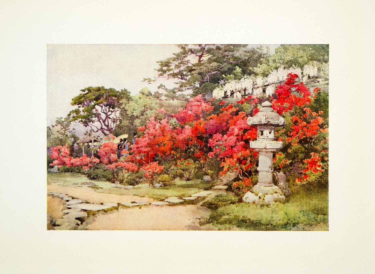 1908 Color Print Azaleas Awata Japan Ella Du Cane Botanical Flower Statue FGJ1 - Period Paper

